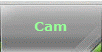 Cam